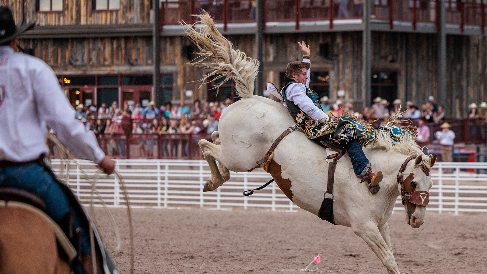 The Rodeo: Bareback Riding