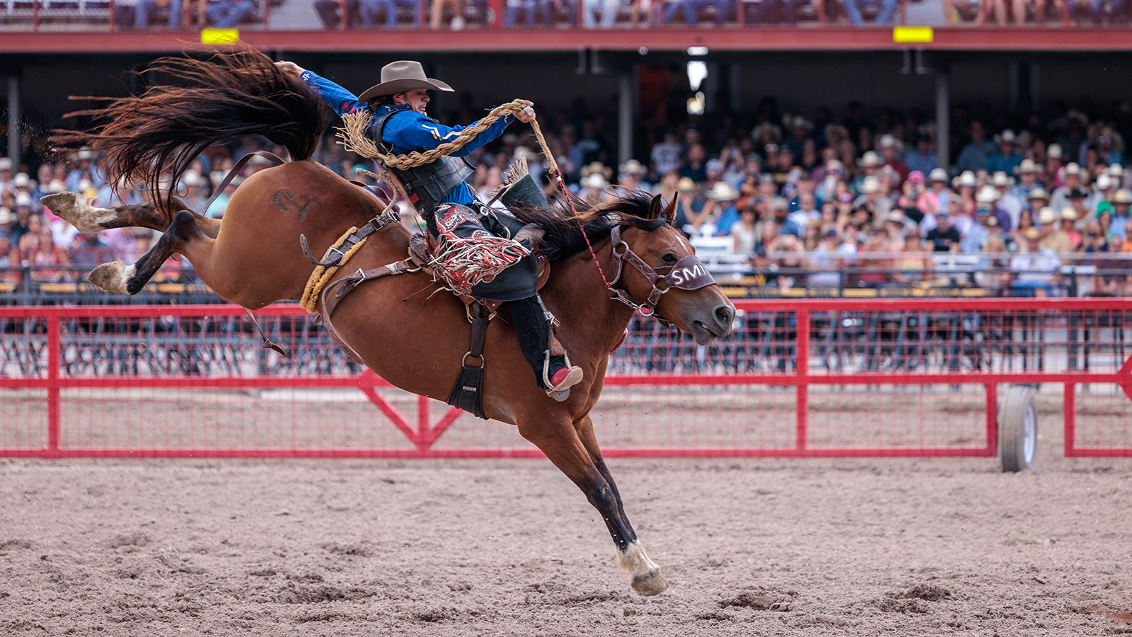 The Rodeo: Saddle Bronc Riding