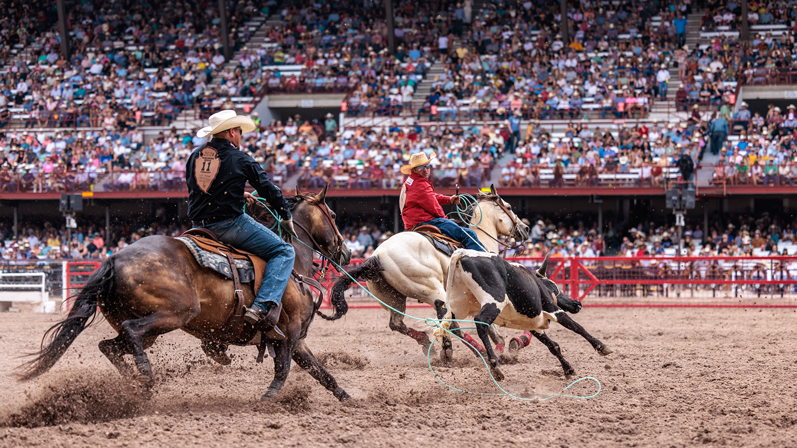 The Rodeo: Team Roping