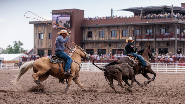 Team Roping started in the old working ranches of the west, when two ropers were needed because the size of the animal was too much for a single man.