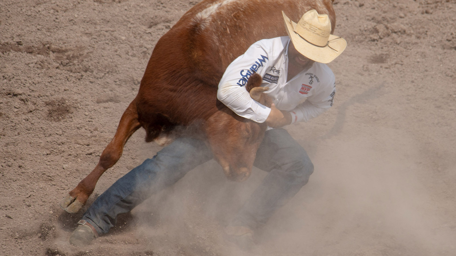 The Rodeo: Steer Wrestling