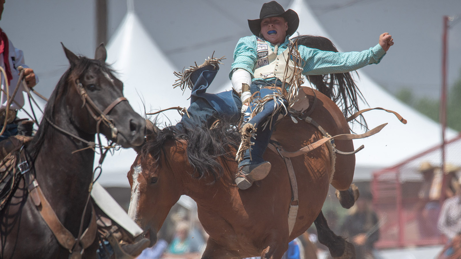 The Rodeo: Saddle Bronc Riding