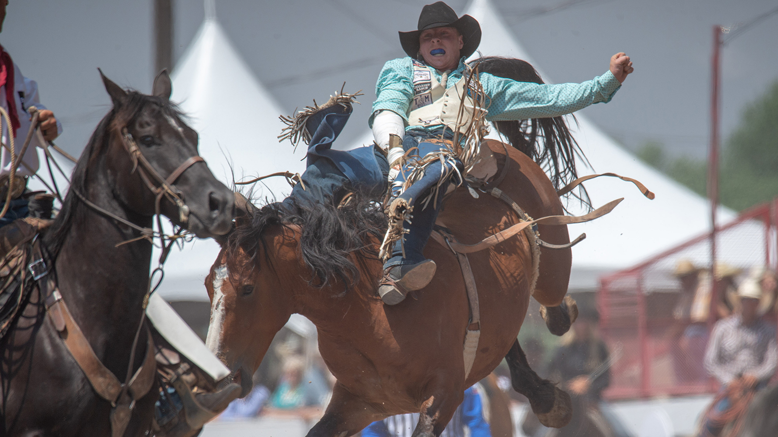 The Rodeo: Bareback Riding