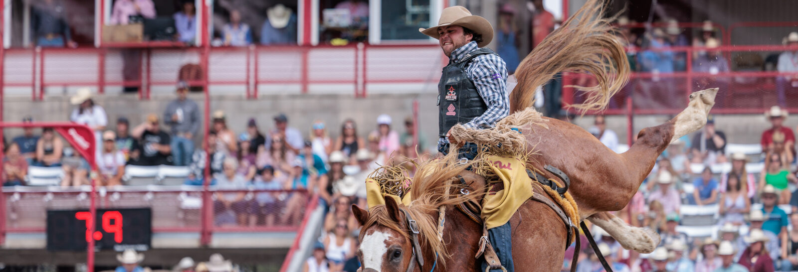 The Rodeo: Saddle Bronc Riding banner image.