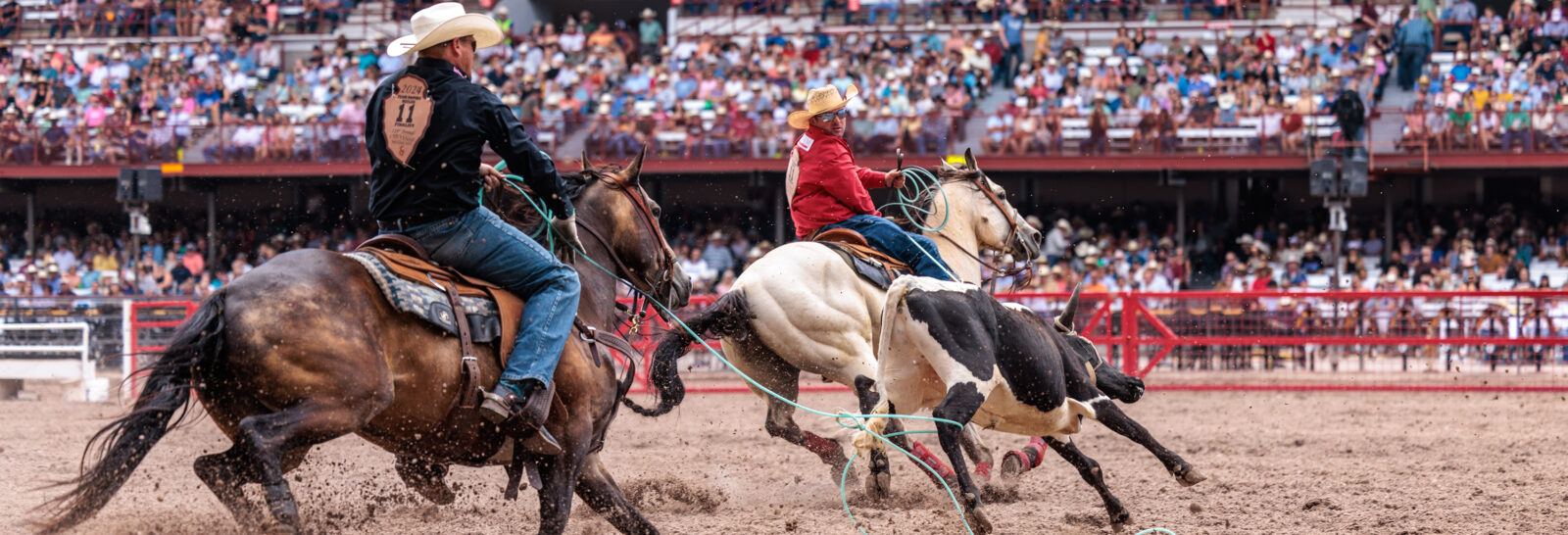 The Rodeo: Team Roping banner image.