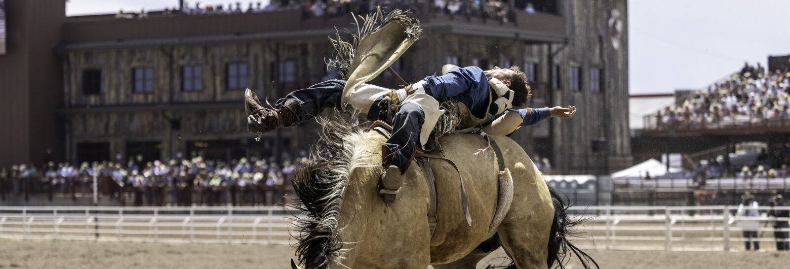 The Rodeo: Bareback Riding banner image.