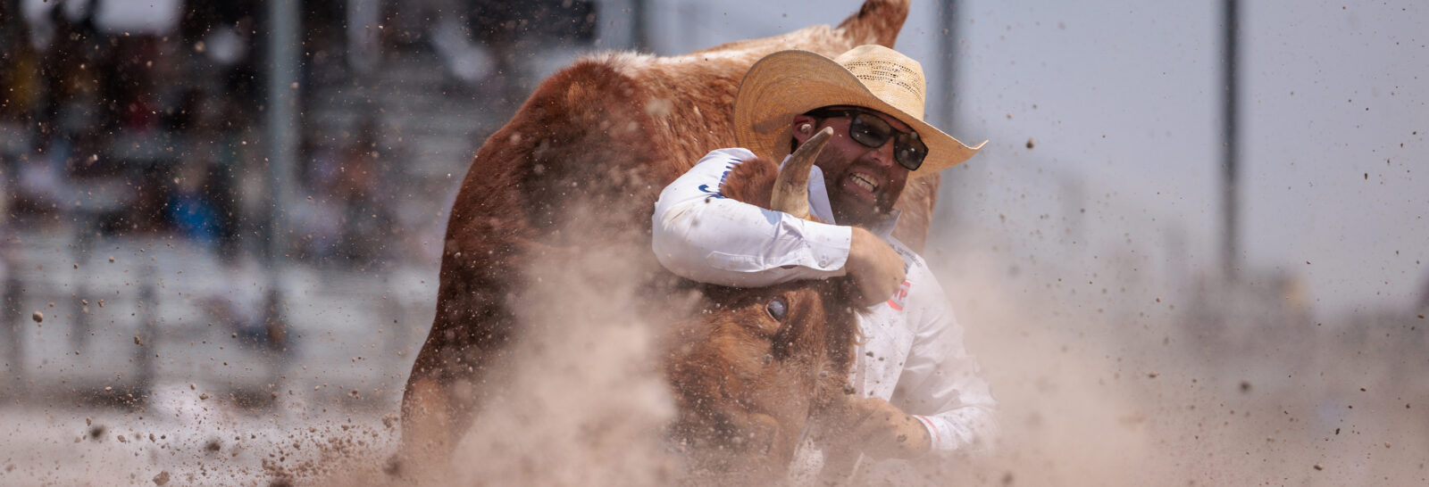 The Rodeo: Steer Wrestling banner image.