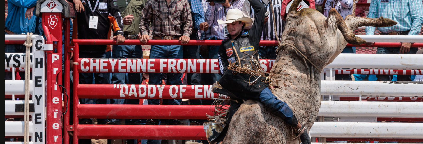 The Rodeo: Bull Riding banner image.