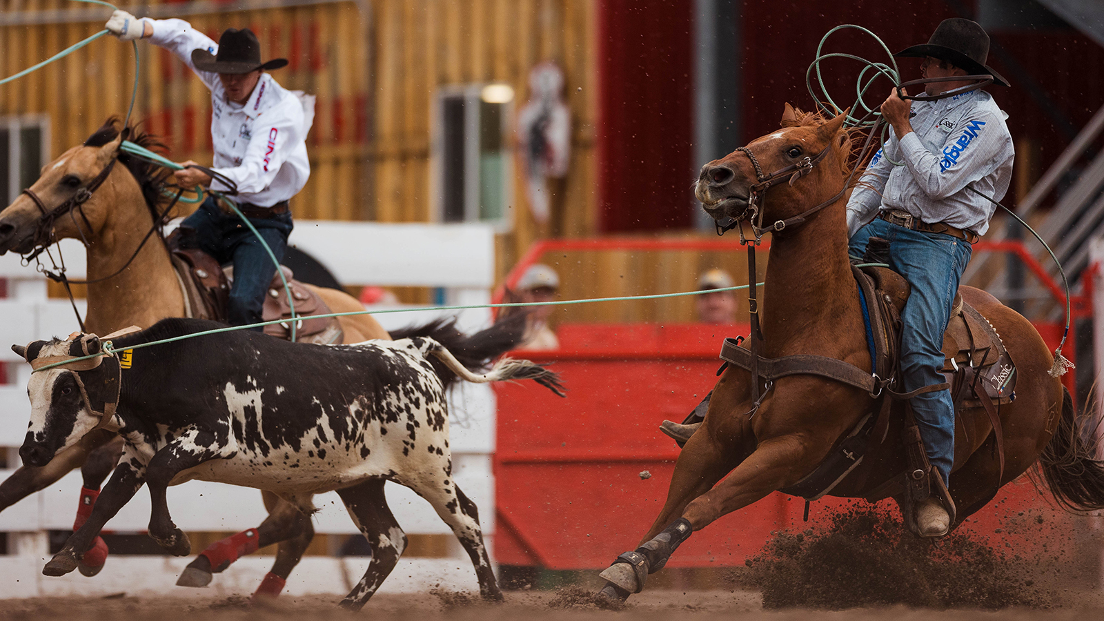 The Rodeo: Team Roping