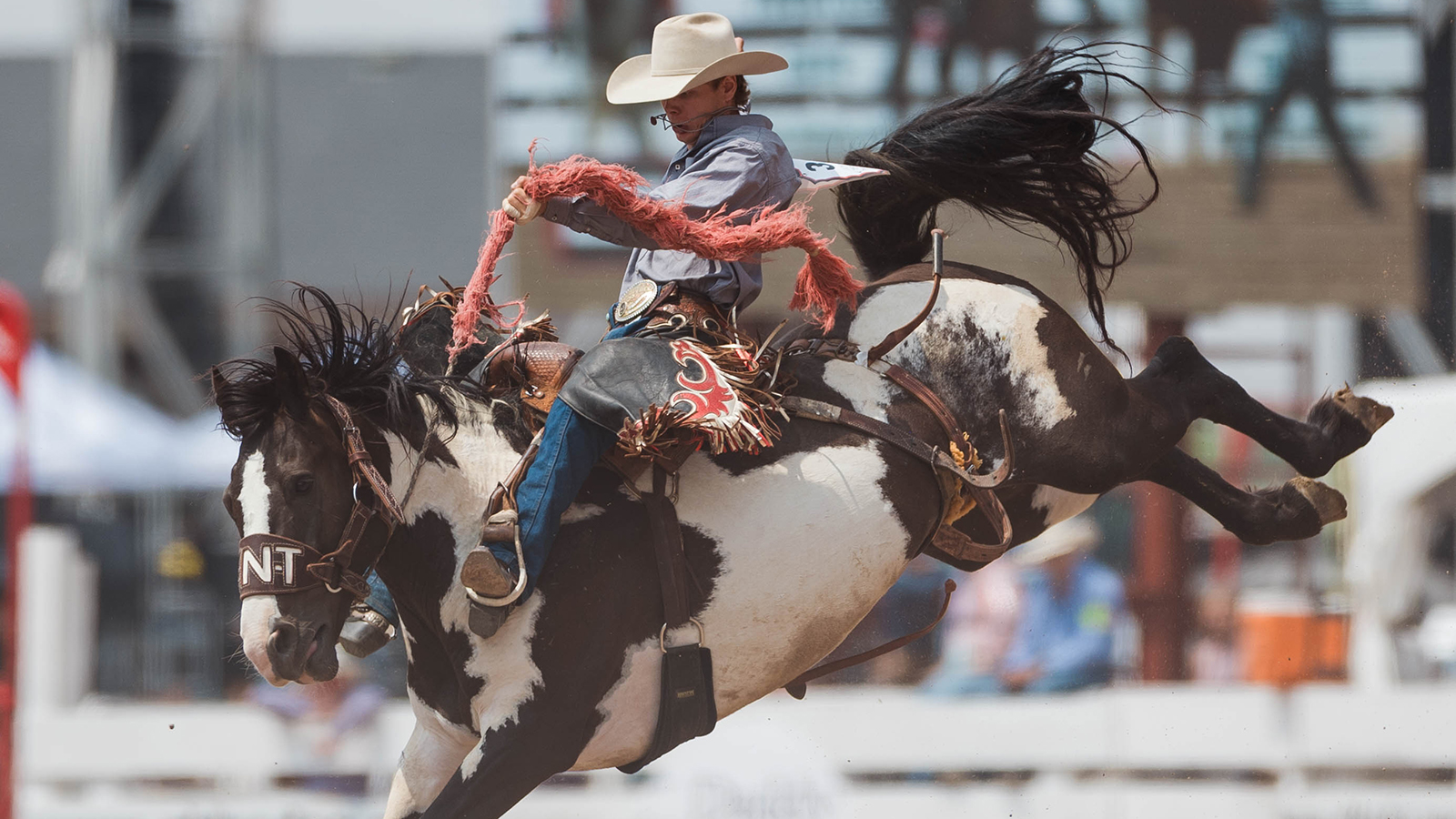 The Rodeo: Saddle Bronc Riding