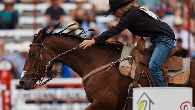 Barrel Racing evolved from the relay races in the old wild west shows.