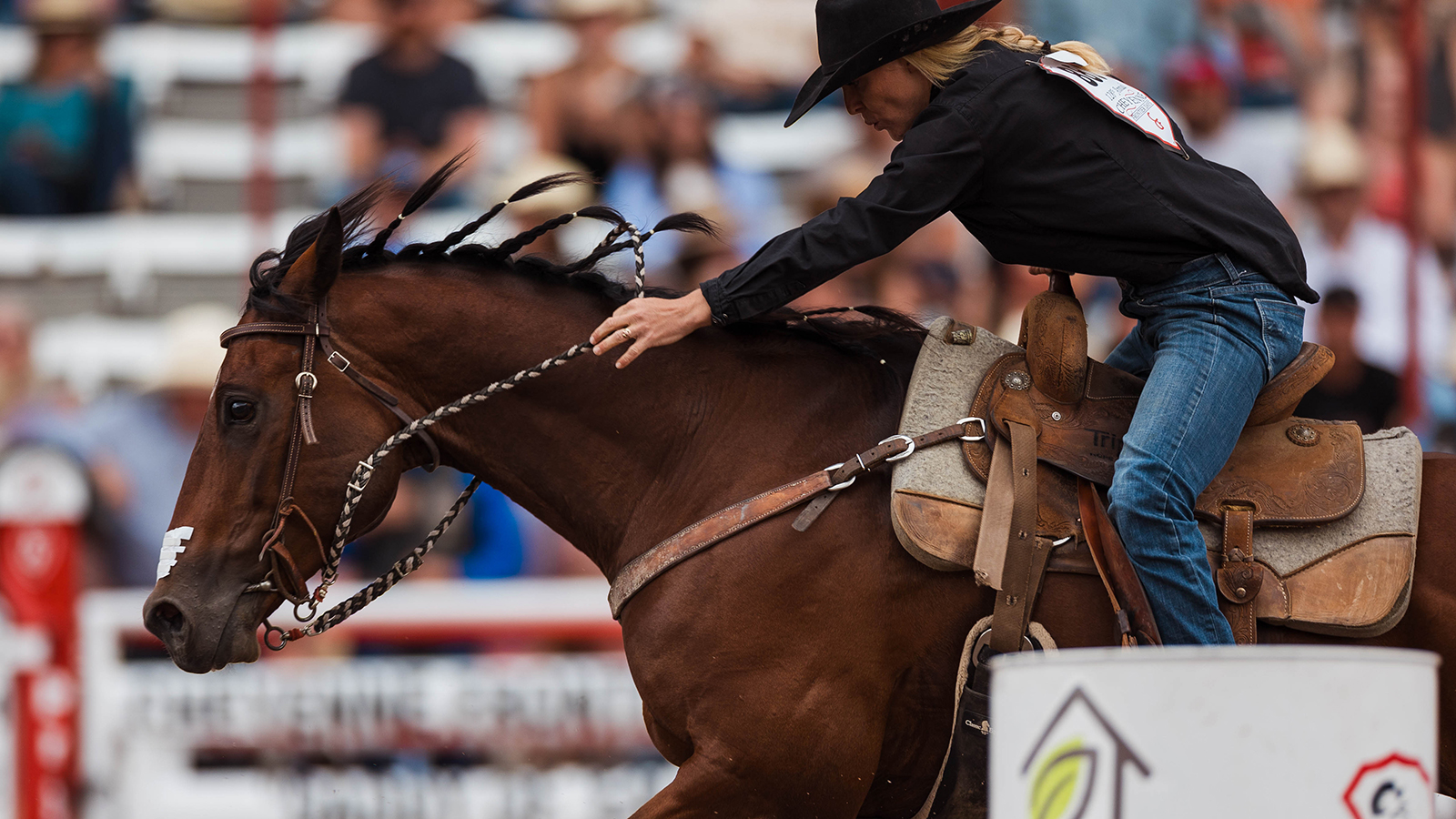 The Rodeo: Women’s Barrel Racing