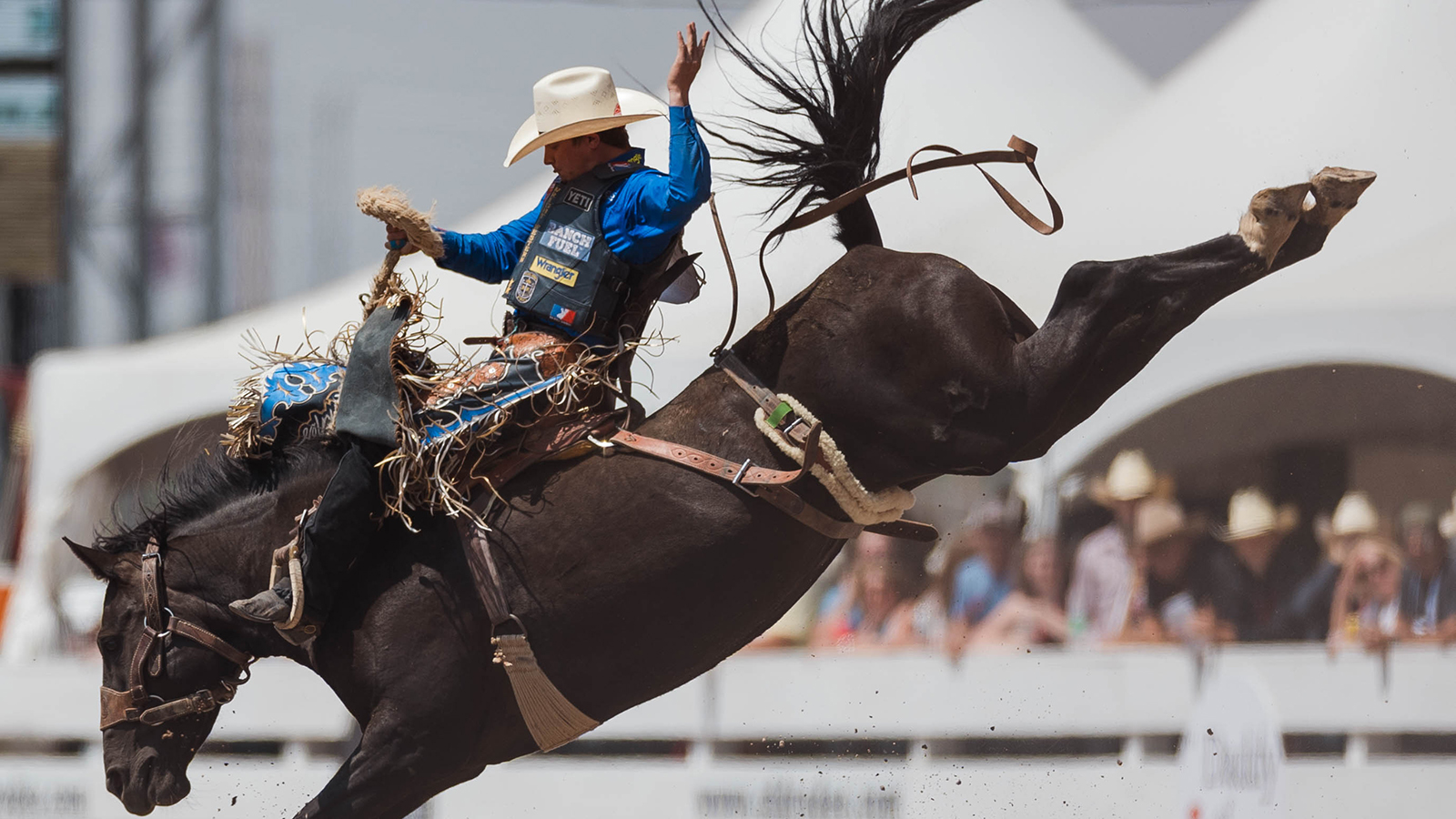 The Rodeo: Saddle Bronc Riding