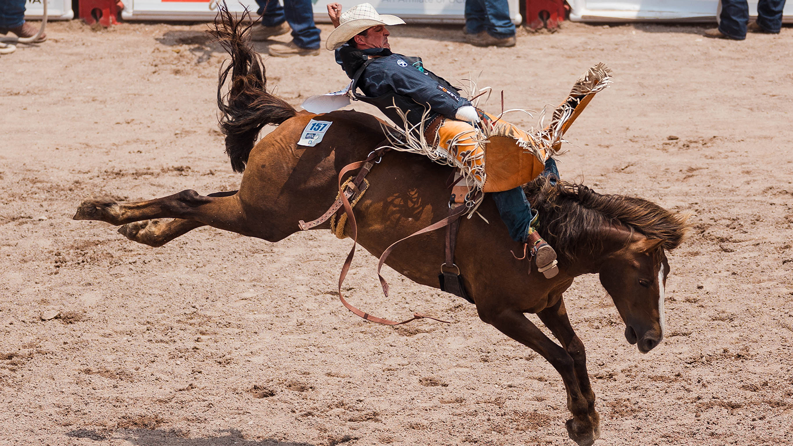 The Rodeo: Bareback Riding