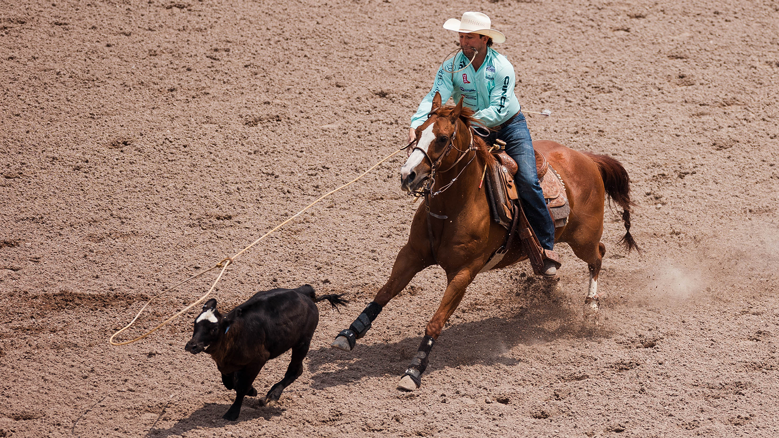 The Rodeo: Tie Down Roping