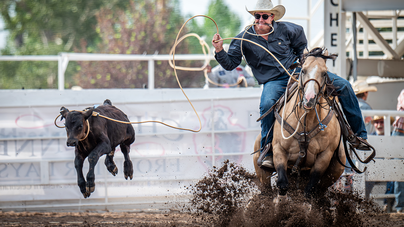 The Rodeo: Tie Down Roping