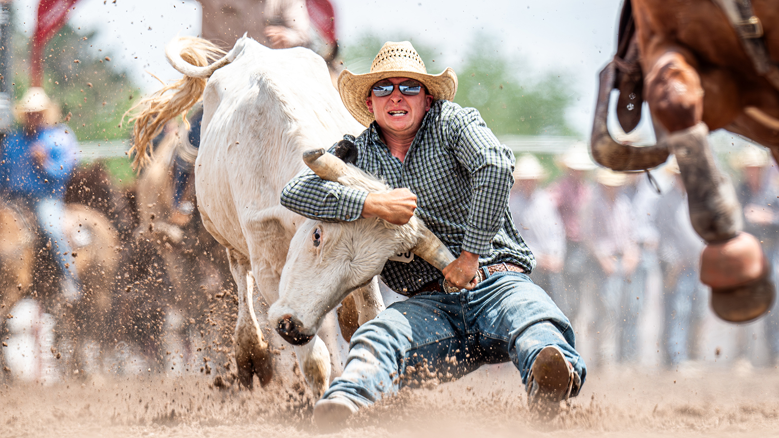 The Rodeo: Steer Wrestling