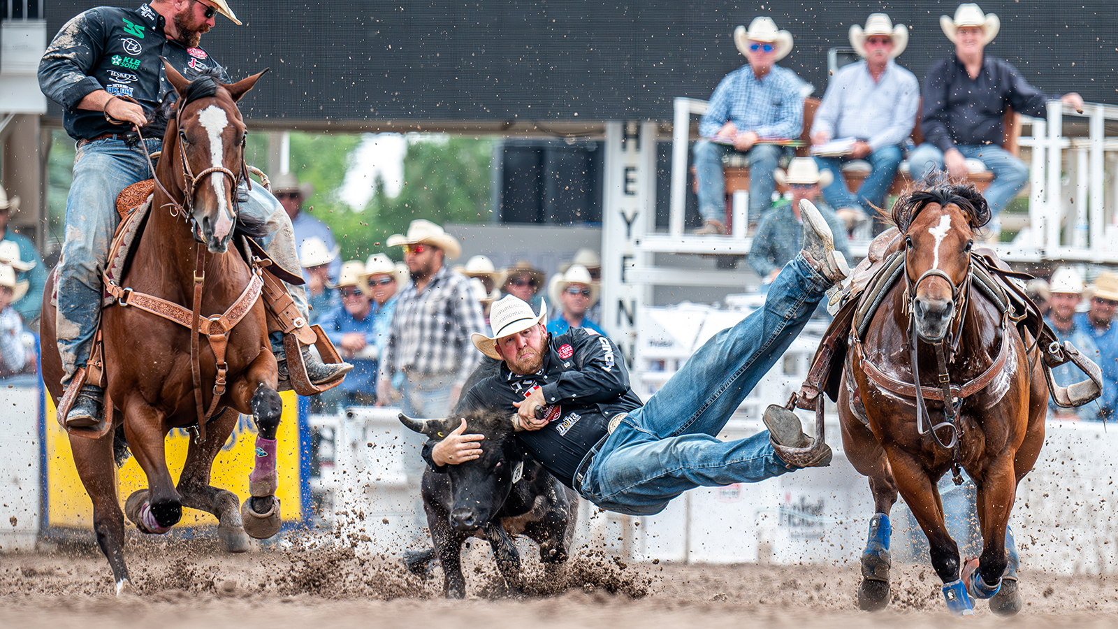 The Rodeo: Steer Wrestling