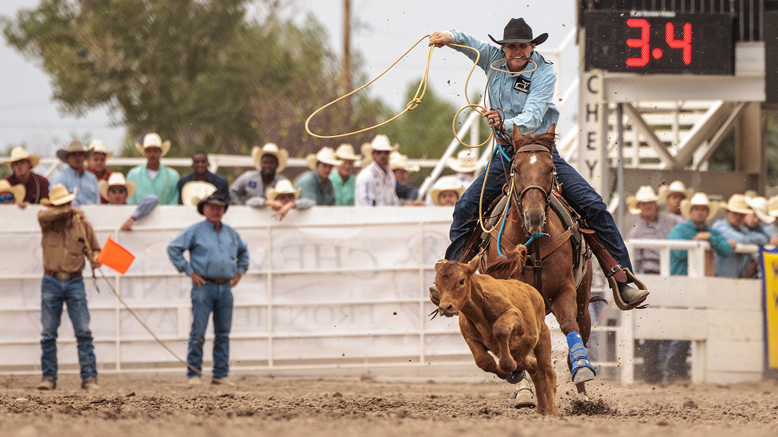 The Rodeo: Tie Down Roping