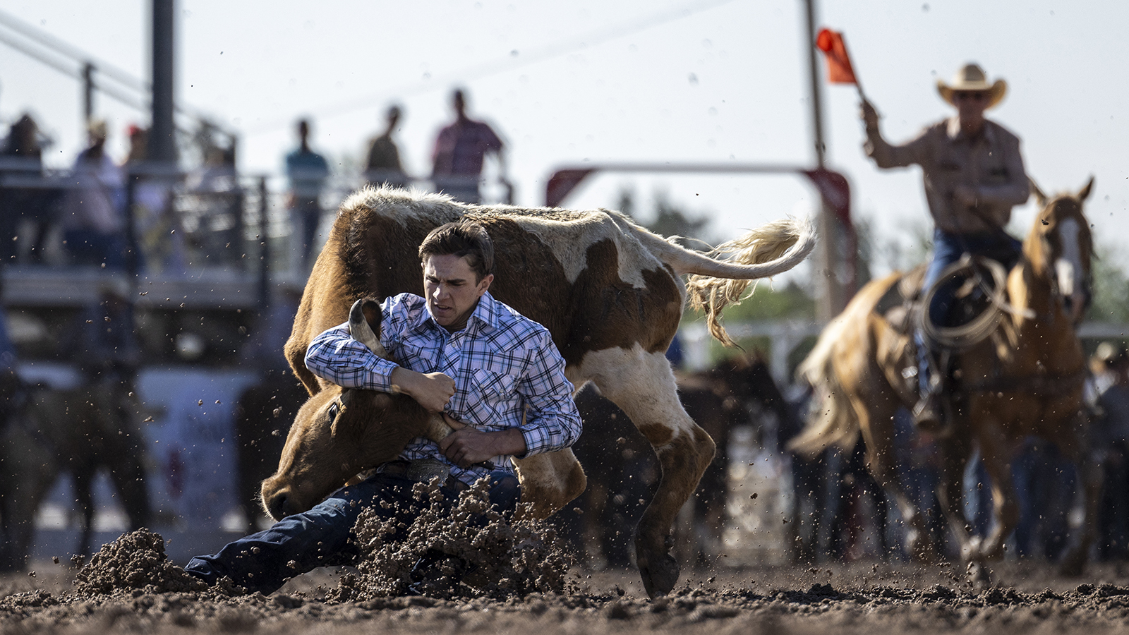 The Rodeo: Steer Wrestling