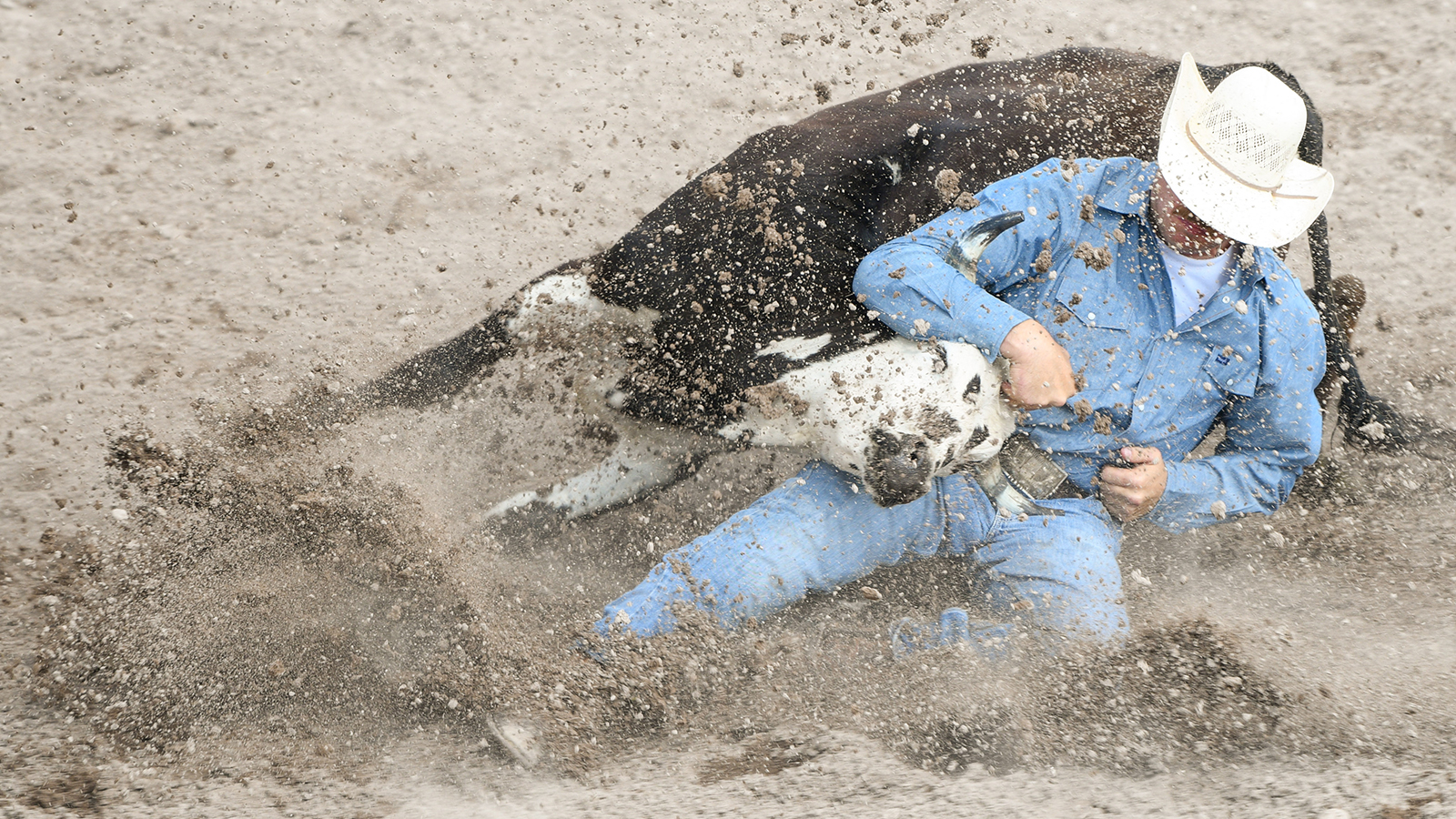 The Rodeo: Steer Wrestling