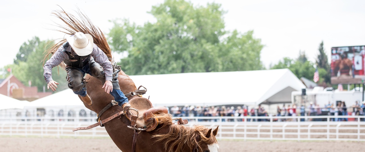 The Rodeo: Saddle Bronc Riding - Cheyenne Frontier Days