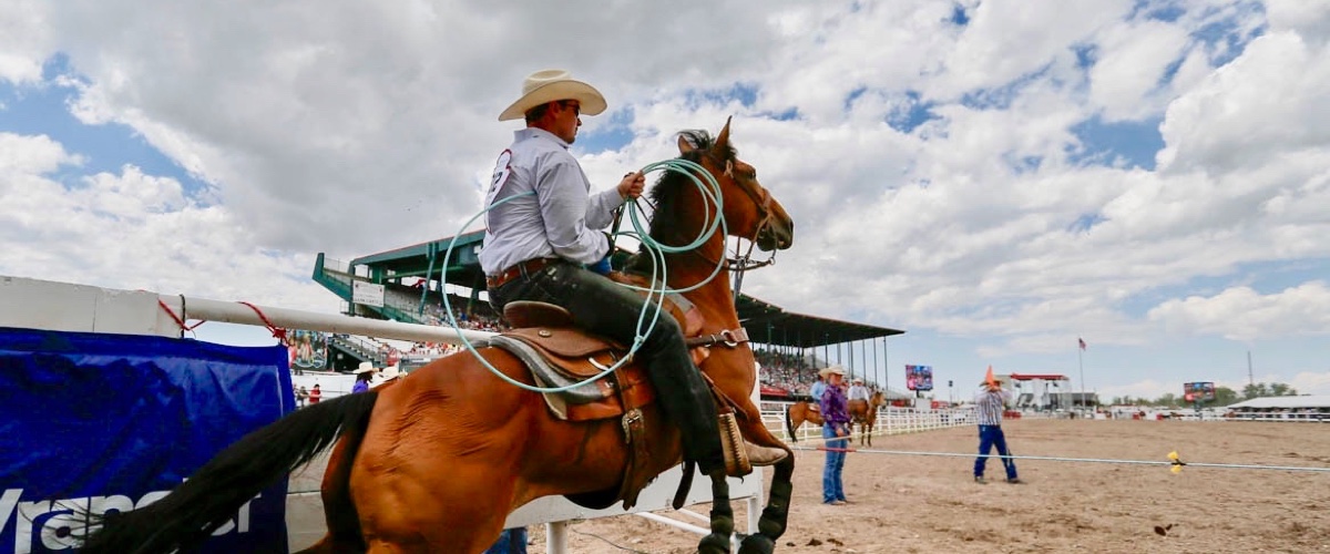 The Rodeo: Tie Down Roping - Cheyenne Frontier Days