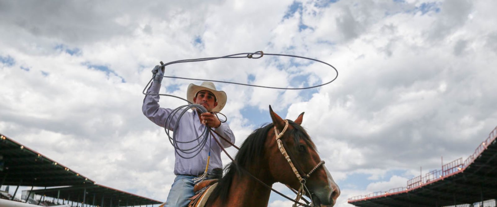 The Rodeo: Team Roping banner image.