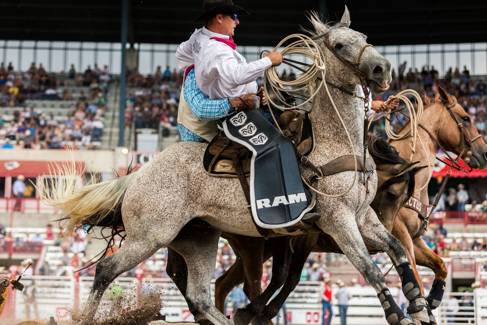 5 Must See Attractions at Cheyenne Frontier Days