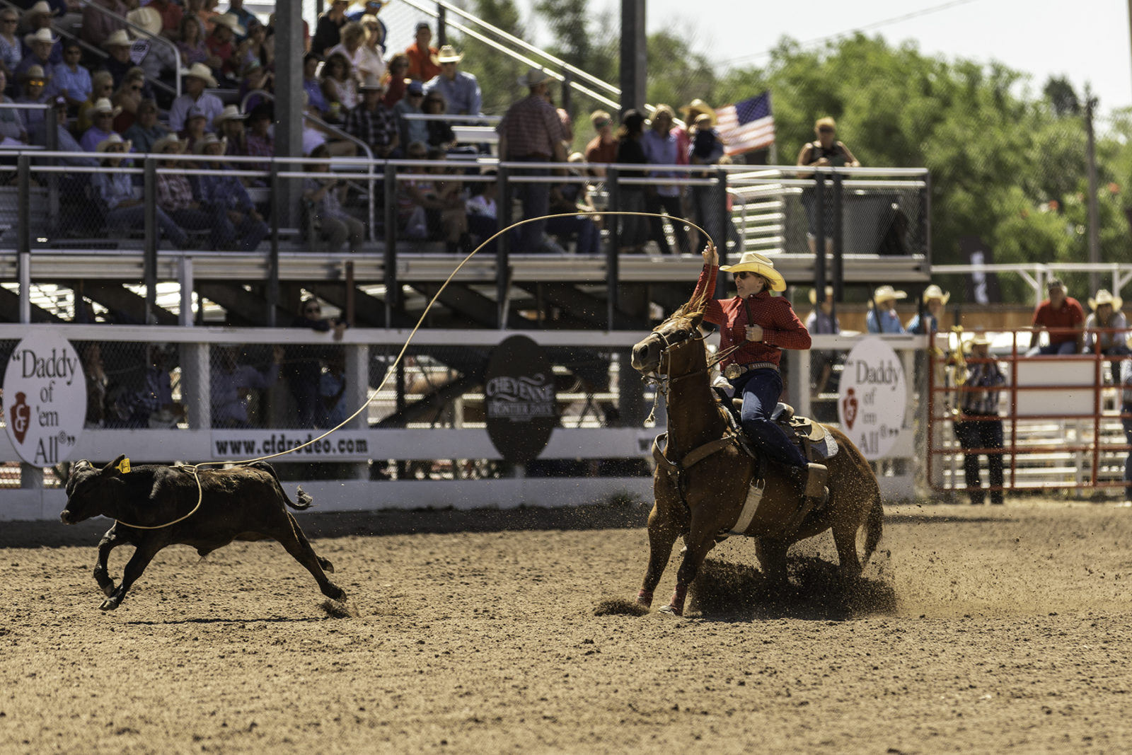 The Rodeo: Women's Breakaway Roping - Cheyenne Frontier Days