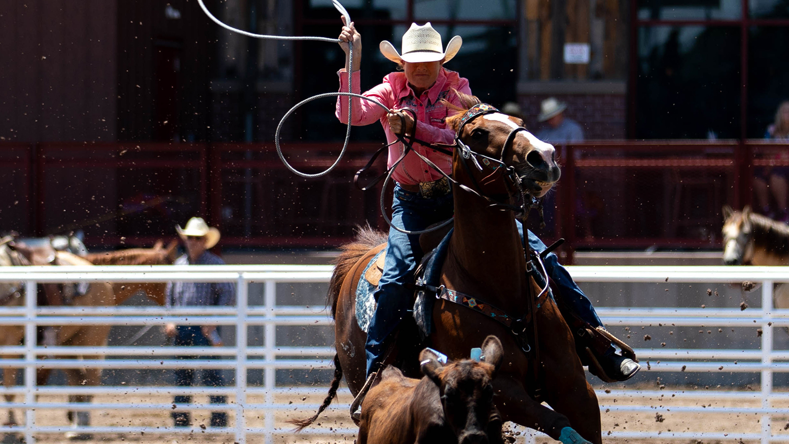 The Rodeo: Women’s Breakaway Roping