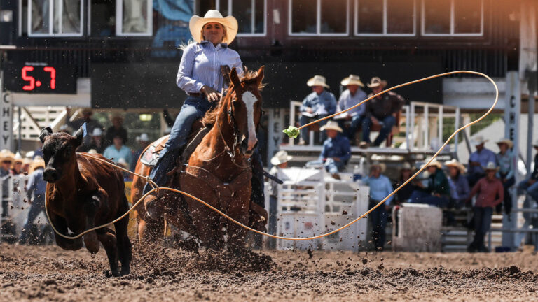 Women’s breakaway roping is comparable to men’s tie-down roping, except the cowgirls are not required to dismount and tie the calf