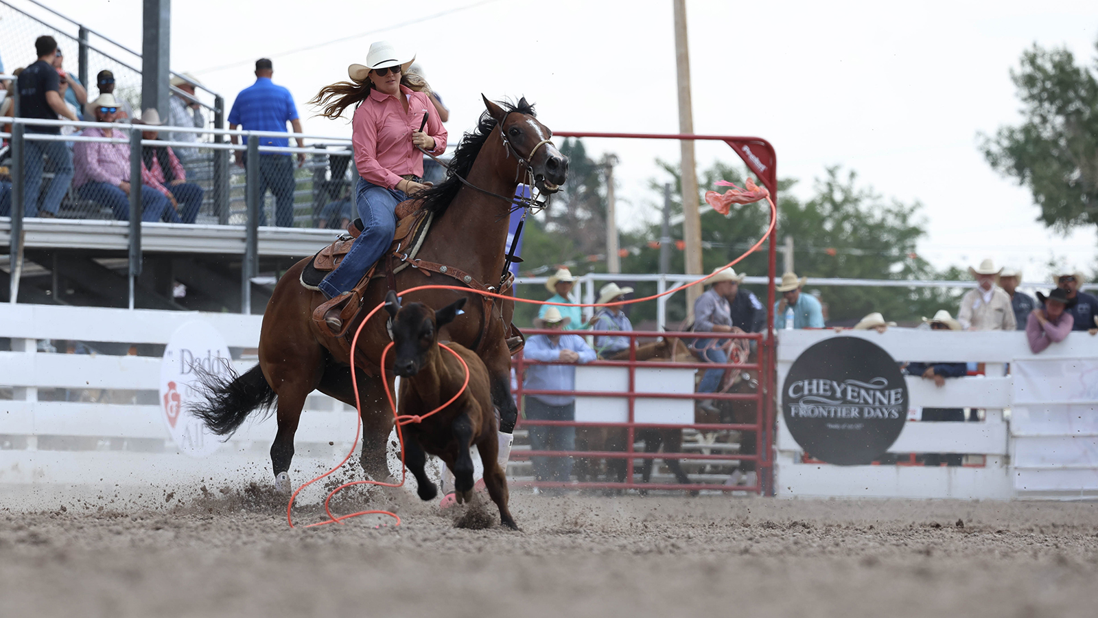 The Rodeo: Women’s Breakaway Roping