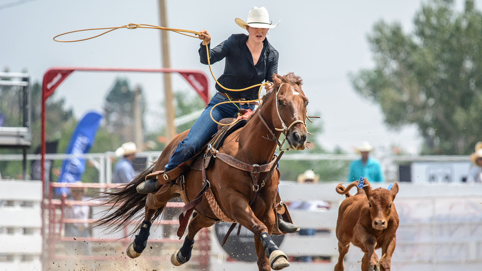 The Rodeo: Women’s Breakaway Roping