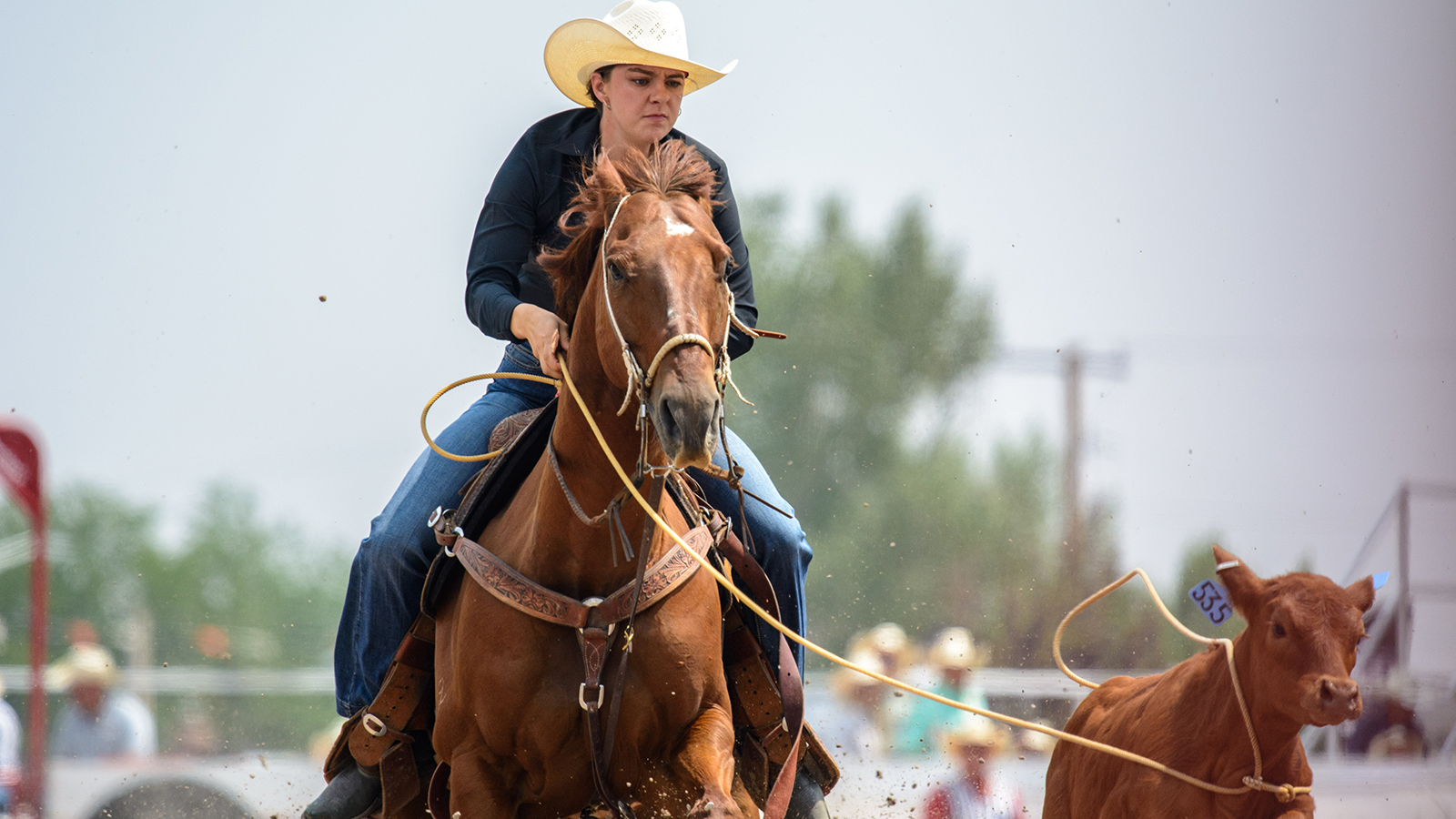 The Rodeo: Women’s Breakaway Roping