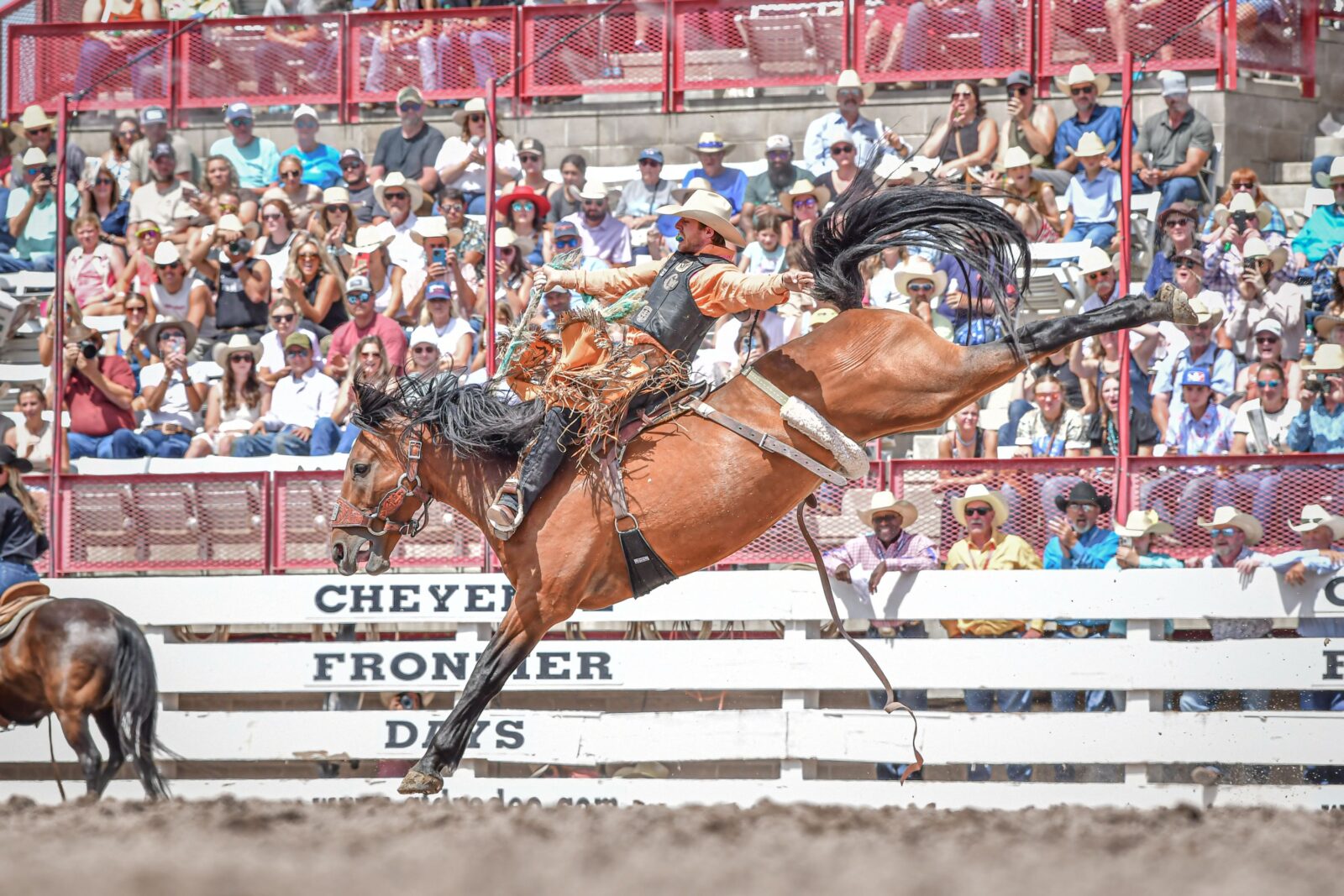 RODEO RECAP: Finals Ends with Record-Setting Action
