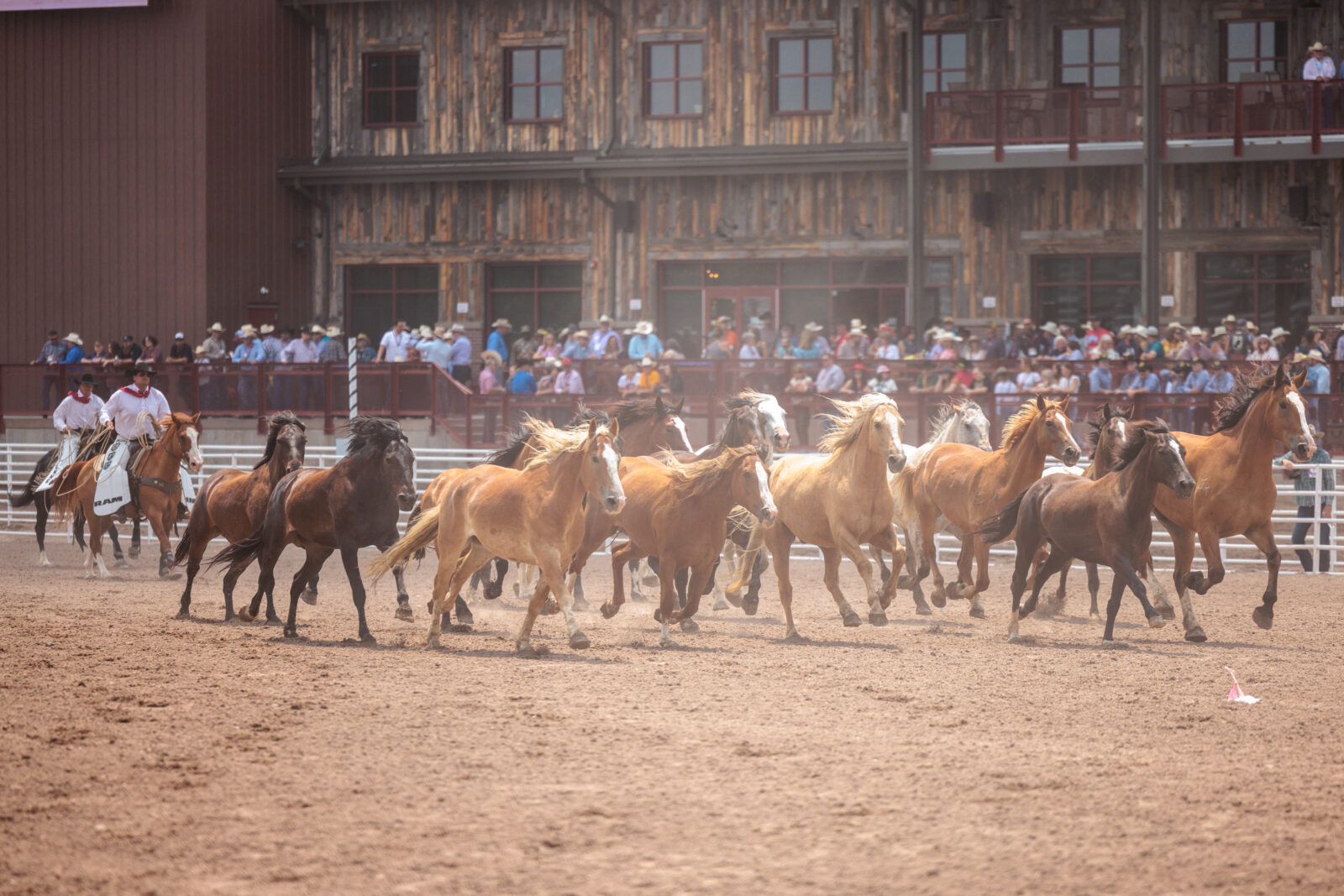 CFD to Celebrate “Day of the American West” as Part of America 250