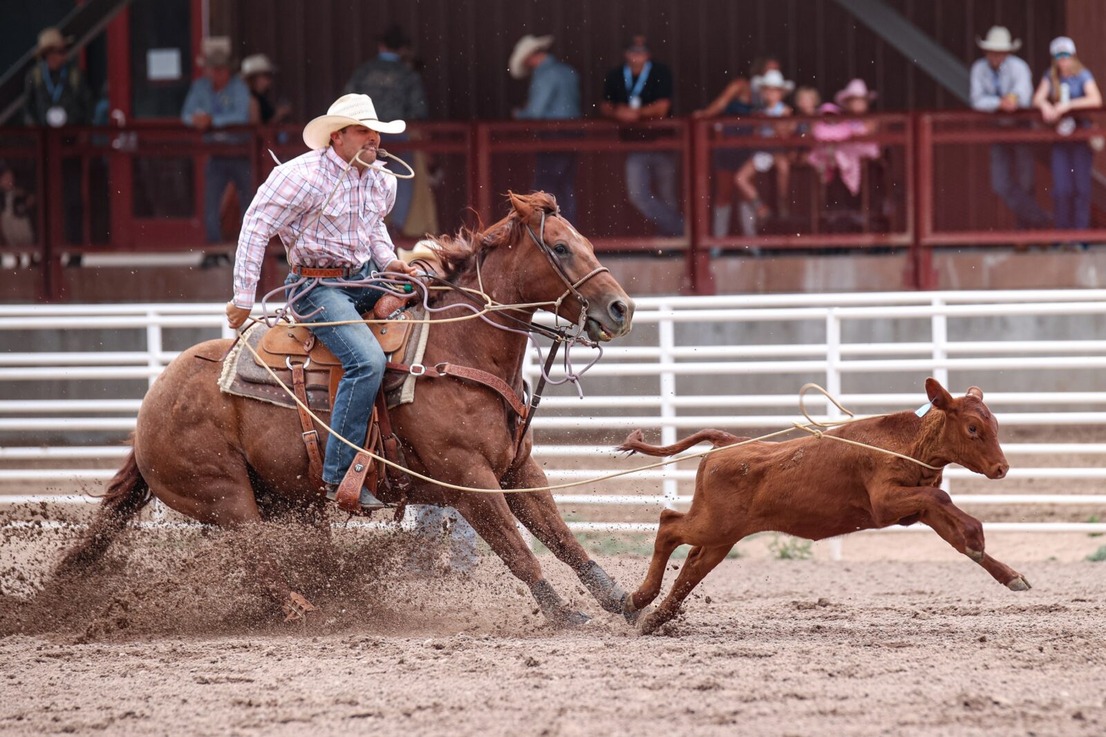 2026 Rodeo Recap – July 21
