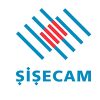 Sisecam_web